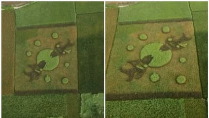 51 ഇനം നെല്ല്, 50 സെന്റ് വയല്; അടിപൊളി 3 ഡി ചിത്രവുമായി യുവാക്കള്