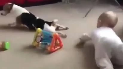 കുഞ്ഞിനെ ഇഴയാൻ പഠിപ്പിക്കുന്ന വളർത്തുനായ; വീഡിയോ വൈറല്