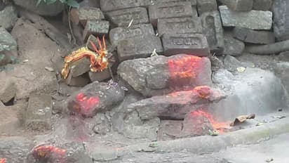 শীলা রূপে আজও পূজিত হন পাহাড়ি কালী, পুরুলিয়ার জঙ্গলে জাগ্রত দেবীর আরাধনা