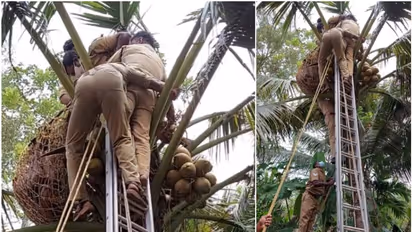 പുരയിടത്തിലെ തെങ്ങിന് മുകളിൽ വച്ച് ഹൃദയാഘാതം വന്ന് മധ്യവയസ്കന്‍ മരിച്ചു
