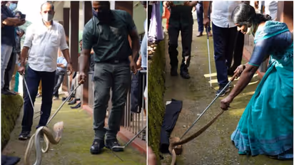 ഇനി ഓടിച്ചെന്ന് പാമ്പിനെ പിടിക്കാനാകില്ല; സർട്ടിഫിക്കറ്റ് വേണം, ഇല്ലെങ്കില് പിടിവീഴും