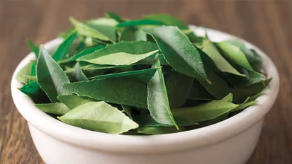 চুল পড়া বন্ধ করতে রোজ খান কারিপাতা ও জিরের মতো পাঁচ উপাদানের তৈরি মিশ্রণ, রইল টোটকা