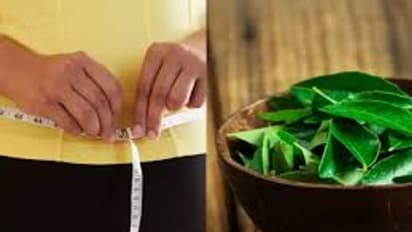 हरी पत्ते वाली ये सब्जी आपकी सेहत के लिए है रामबाण, आज ही इस तरह करें अपनी डाइट में शामिल