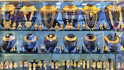 कैसा होना चाहिए ऑफिस या शॉप का कलर, जानिए वास्तु शास्त्र से