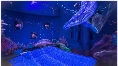 കൊവിഡ് 19: ജപ്പാനിൽ വീണ്ടും ട്രെൻഡാവുമോ 'ലവ് ഹോട്ടലുകൾ'?