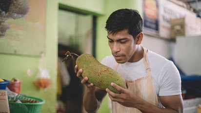 ಹಲಸಿನಕಾಯಿ ಹಿಟ್ಟಿನಲ್ಲಿದೆ ಆರೋಗ್ಯದ ಗುಟ್ಟು..! ಇದು ಗೋಧಿ ಹಿಟ್ಟಿಗಿಂತಲೂ ಬೆಸ್ಟ್