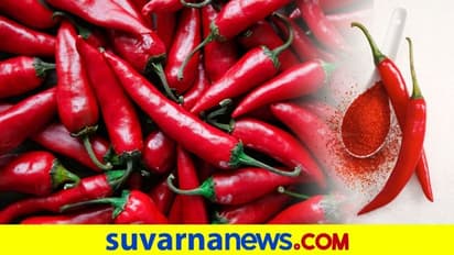 ಬ್ಯಾಡಗಿ ಮೆಣಸು ದಾಖಲೆಯ 41000ಕ್ಕೆ ಮಾರಾಟ!