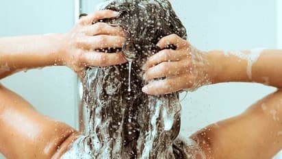 Hair care: These natural flowers, leaves shampoos can do wonders to your long locks