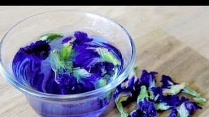 வேலியில் கிடக்கும் சங்குப்பூ அள்ளி தரும் நன்மைகள் தெரியுமா?  