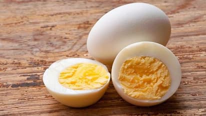 കുട്ടികൾക്ക് മുട്ട നൽകണമെന്ന് പറയുന്നതിന്റെ കാരണം ഇതാണ്