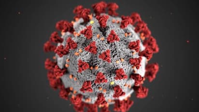 കൊവിഡ് പൊട്ടിപ്പുറപ്പെട്ടിട്ട് ഒരു വര്‍ഷം പിന്നിട്ടു; വാക്സിനായി പ്രതീക്ഷയോടെ ലോകം