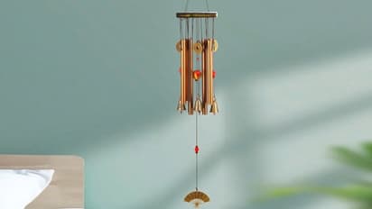 সৌভাগ্য পেতে কিংবা সম্পত্তি বৃদ্ধিতে ঘরে রাখুন ফেং শুই আইটেম, জেনে নিন এর গুরুত্ব