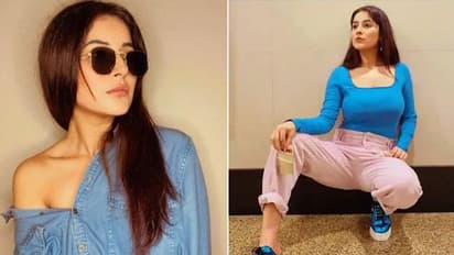 When Shehnaaz Gill spoke about getting married, settling down