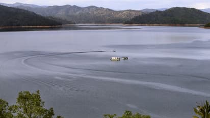 12-year-old Mumbai boy wins global recognition for environment-related project