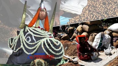 ಈ ವರ್ಷ ಕಡಲೆಕಾಯಿ ಪರಿಷೆಯಲ್ಲಿ ಕಡಲೆಕಾಯಿಯನ್ನೇ ಮಾರುವಂತಿಲ್ಲ!