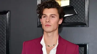 Lollapalooza 2025: Singer Shawn Mendes to perform in India, says 'dhanyawad' to fans