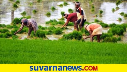 ಅನ್ನದಾತರಿಗೆ ಸಿಗದ ಟಾರ್ಪಲ್‌ ಭಾಗ್ಯ