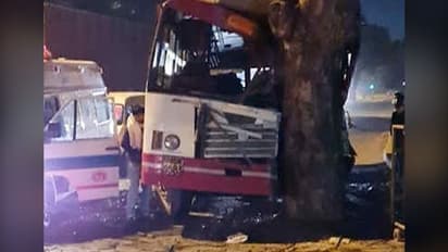 Delhi: Bus crashes into tree, injures 22 people; bus driver on the run