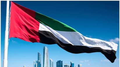 ഗാസ താത്കാലിക വെടിനിര്ത്തല്; സ്വാഗതം ചെയ്ത് യുഎഇ വിദേശകാര്യ മന്ത്രാലയം