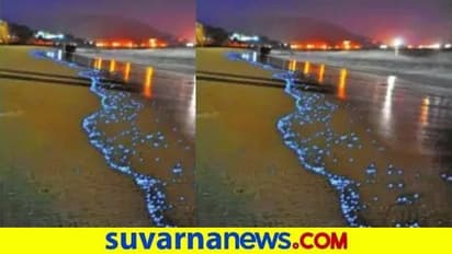 ಮಲ್ಪೆ, ಕಾರವಾರದಲ್ಲಿ  ನೀಲಿಯಾಯ್ತು ಕಡಲ ಅಲೆ