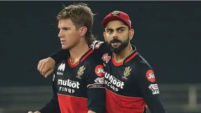 আইপিএলের আগেই বিয়ে করছেন আরসিবি তারকা অ্যাডাম জাম্পা, কিন্তু কার সঙ্গে নতুন ইনিংস শুরু করছেন অজি তারকা