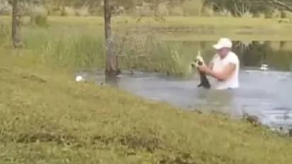 വളർത്തുനായയെ മുതല പിടിച്ചു; ഇതുകണ്ട ഉടമ ചെയ്തത്...