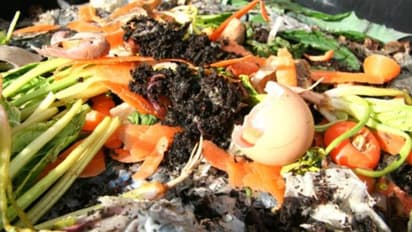 മണ്ണിരയെ വളർത്തി കംപോസ്റ്റുണ്ടാക്കാം, മികച്ച ജൈവവളം വീട്ടിൽ ലഭ്യമാക്കാം