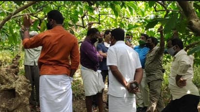 വീണ്ടും കടുവ; പൂതിക്കാട് പകല്‍പോലും പുറത്തിറങ്ങാന്‍ ഭയന്ന് ജനം