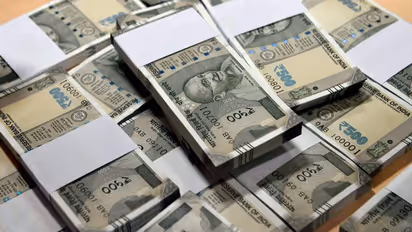 57,300 കോടിയുടെ നിക്ഷേപം; വിദേശ നിക്ഷേപകർ വീണ്ടും ഇന്ത്യയിലേക്ക്