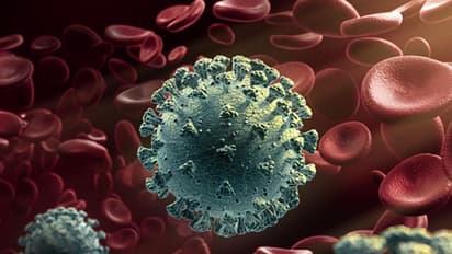 സംസ്ഥാനത്ത് 6491 പേര്ക്ക് കൂടി കൊവിഡ് സ്ഥിരീകരിച്ചു; 26 മരണവും