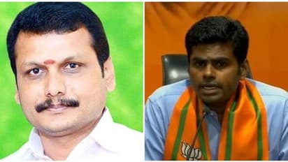 அண்ணாமலைக்கு புரிதலும் கிடையாது.. புரிந்துகொள்ளும் பக்குவமும் கிடையாது.. போட்டுத்தாக்கும் செந்தில் பாலாஜி!