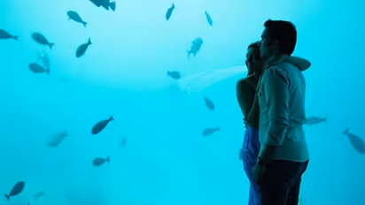 'മാലദ്വീപ് മനസില്‍ നിന്ന് മായുന്നില്ല', ഫോട്ടോയുമായി കാജല്‍ അഗര്‍വാള്‍