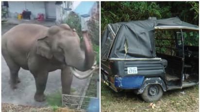 മൂന്നാർ ടൗണിൽ നിന്ന് വിരണ്ടോടിയ കാട്ടാന ഓട്ടോ തകർത്തു, ഡ്രൈവർ രക്ഷപ്പെട്ടത് തലനാരിഴയ്ക്ക്