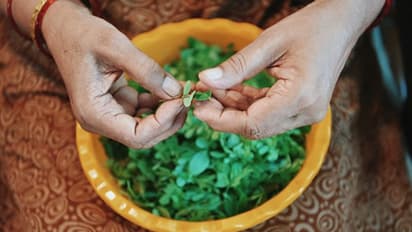 చలికాలంలో మెంతికూరను తింటే ఇంత మంచిదా? 