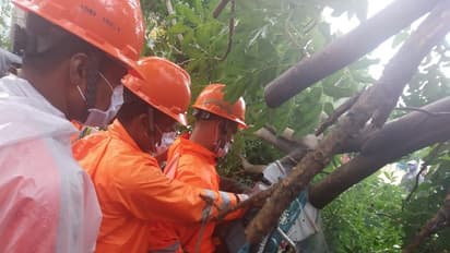 നിവാര്‍ ചുഴലിക്കാറ്റ് ; മുന്‍കരുതല്‍ നാശം കുറച്ചു, മരണം അഞ്ച്