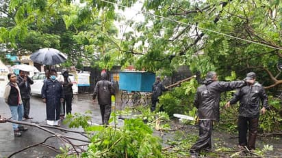 उत्तर भारत में भारी बारिश हो सकती है, दक्षिणी राज्यों में 1 दिसंबर से भारी बारिश के आसार