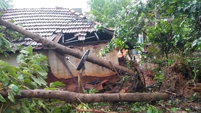 ನಿವಾರ್ ದಾಳಿಗೆ ತ.ನಾಡು ತತ್ತರ: 5 ಬಲಿ, 1 ಸಾವಿರ ಮರ ಧರೆಗೆ!