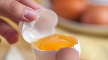 अंडे की जर्दी खाना सही या गलत? कहीं आप भी तो नहीं फेंक देते अंडे का पीला हिस्सा