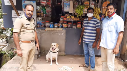 'കൂള്‍ ലിപ്, ഹാന്‍സ്'; ലിഡോ മണം പിടിച്ചു, നിരോധിത പുകയില ഉല്‍പ്പന്നങ്ങളുമായി മൂന്ന് പേര്‍ പിടിയില്‍