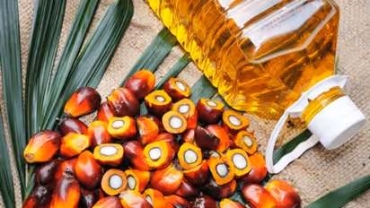 കഴിഞ്ഞ മാസം മലേഷ്യയിൽ നിന്ന് ഇന്ത്യയിലേക്ക് ഇറക്കുമതി ചെയ്തത് 5 ലക്ഷം ടൺ പാമോയിൽ