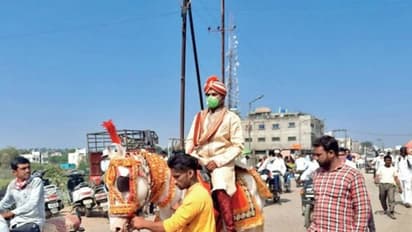 घोड़ी पर बैठकर दूल्हा बना युवक बारात लेकर पहुंचा तहसीलदार के ऑफिस, बोला-राशनकार्ड दें या शादी करवा दें