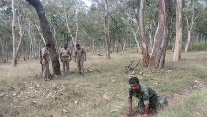 ഇങ്ങനെയാണ് ആ കണക്കെടുപ്പ് ; മുതുമലയില്‍ വന്യമൃഗങ്ങളുടെ കണക്കെടുപ്പ് തുടങ്ങി
