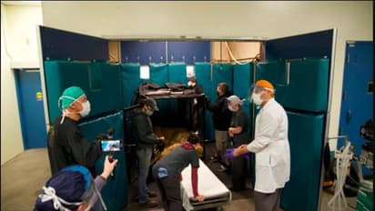 ಸಿಂಹಿಣಿಗೆ ಗರ್ಭಕೋಶ ಸೋಂಕು: ಶಸ್ತ್ರ ಚಿಕಿತ್ಸೆ ಮಾಡಿ ಪ್ರೀತಿಯಿಂದ ಆರೈಕೆ ಮಾಡಿದ್ರು ಡಾಕ್ಟರ್ಸ್..!