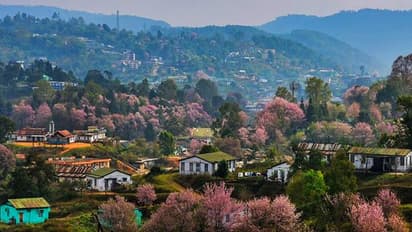 Honeymoon Trip Plan- বিয়ের মরসুম মানেই হানিমুন প্ল্যান, কম খরচে এবার ঘুরে আসুন শিলং