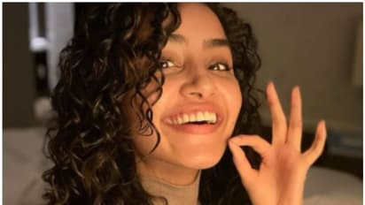 അനുപമ പരമേശ്വരന്റെ പെയിന്റിംഗ്, ചിത്രം ഏറ്റെടുത്ത് ആരാധകര്