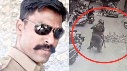 சினிமாவை மிஞ்சிய காட்சி... திருடர்களை பிடிக்க ஹீரோயிஸம் காட்டிய சென்னை போலீஸ்... மிரட்டும் வீடியோ..!