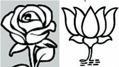 അപരൻമാരും ചിഹ്നവും മുന്നണികൾക്ക് തലവേദനയാകുന്നു; ഹൈക്കോടതിയെ സമീപിക്കാനൊരുങ്ങി ബിജെപി