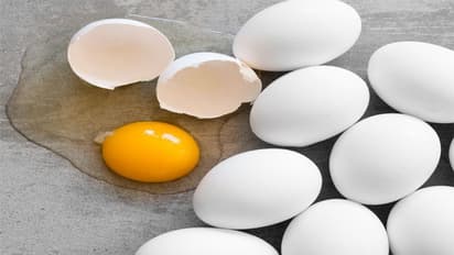 ತೂಕ ಇಳಿಸಿಕೊಳ್ಳಬೇಕಾ? ಈ ಫುಡ್‌ ಕಾಂಬಿನೇಷನ್‌ ಟ್ರೈ ಮಾಡಿ !