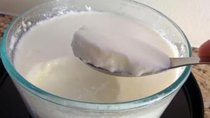 দই খাবেন নাকি ইয়োগার্ট, জেনে নিন পার্থক্য ও পুষ্টিগুণ