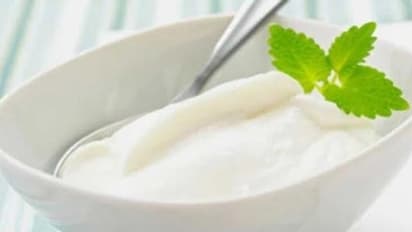 పరగడుపున పెరుగులో పంచదార కలుపుకొని తింటే..!